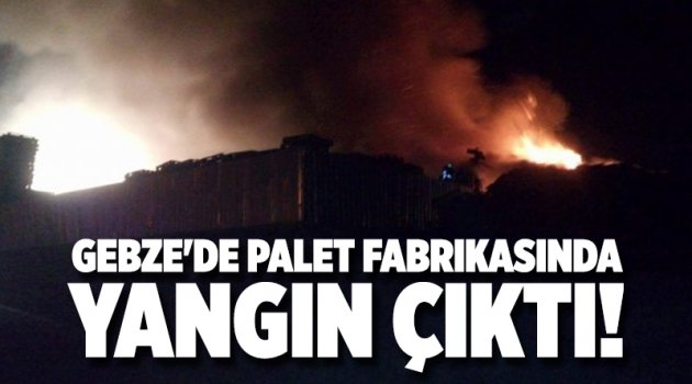 Gebze'de palet fabrikasında yangın çıktı!