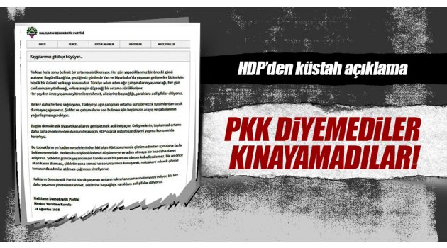 HDP PKK diyemedi