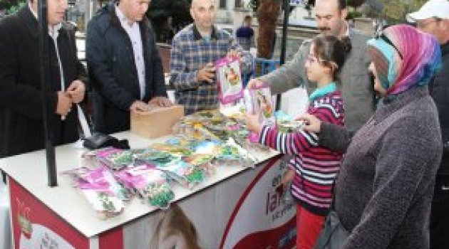 Lale soğanı satışları 14 Kasım’da başlıyor