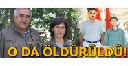 Bitlis'te öldürülen o terörist bakın kim çıktı!