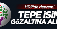 HDP Eş Genel Başkan Yardımcısı Alp Altınörs gözaltına alındı