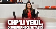 CHP'li Vekil, o sorunu meclise taşıdı