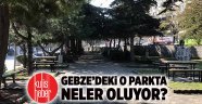 Gebze’deki o parkta neler oluyor?